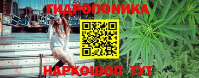 ECSTASY Будённовск