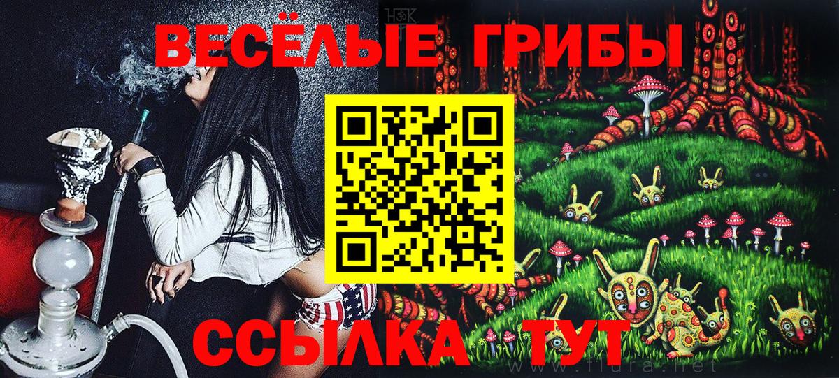Псилоцибиновые грибы Cubensis Тейково