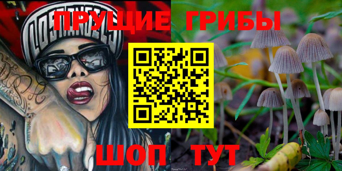 Галлюциногенные грибы Cubensis  Вход с VPN  Тейково 